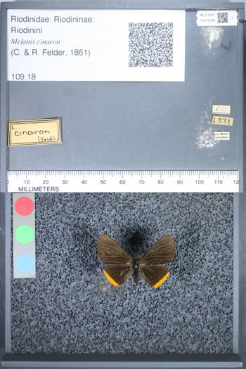 Media type: image;   Entomology 75598